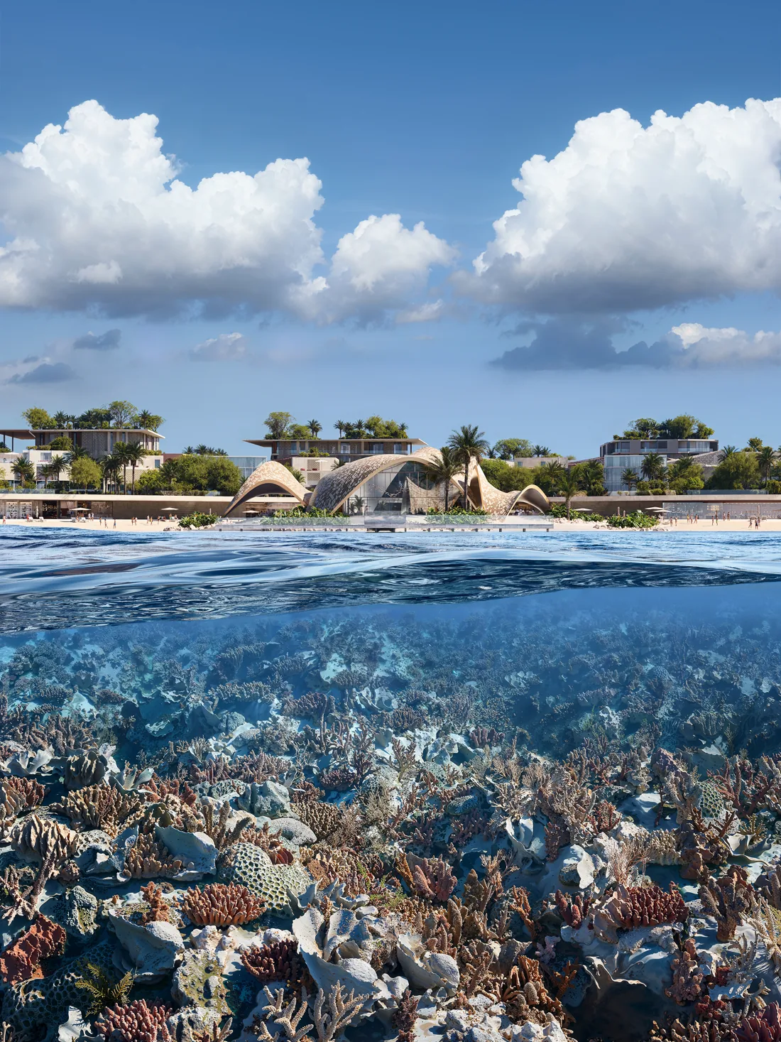 Coral reef below the waterline with the community and its beach on the shore beyond